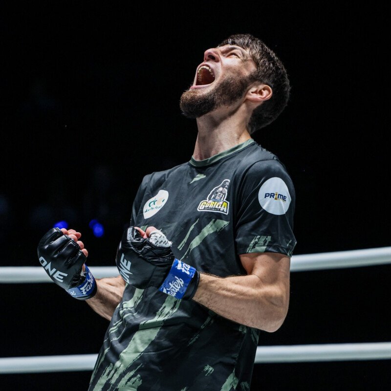 Laehossa ynot Arraks tweet media