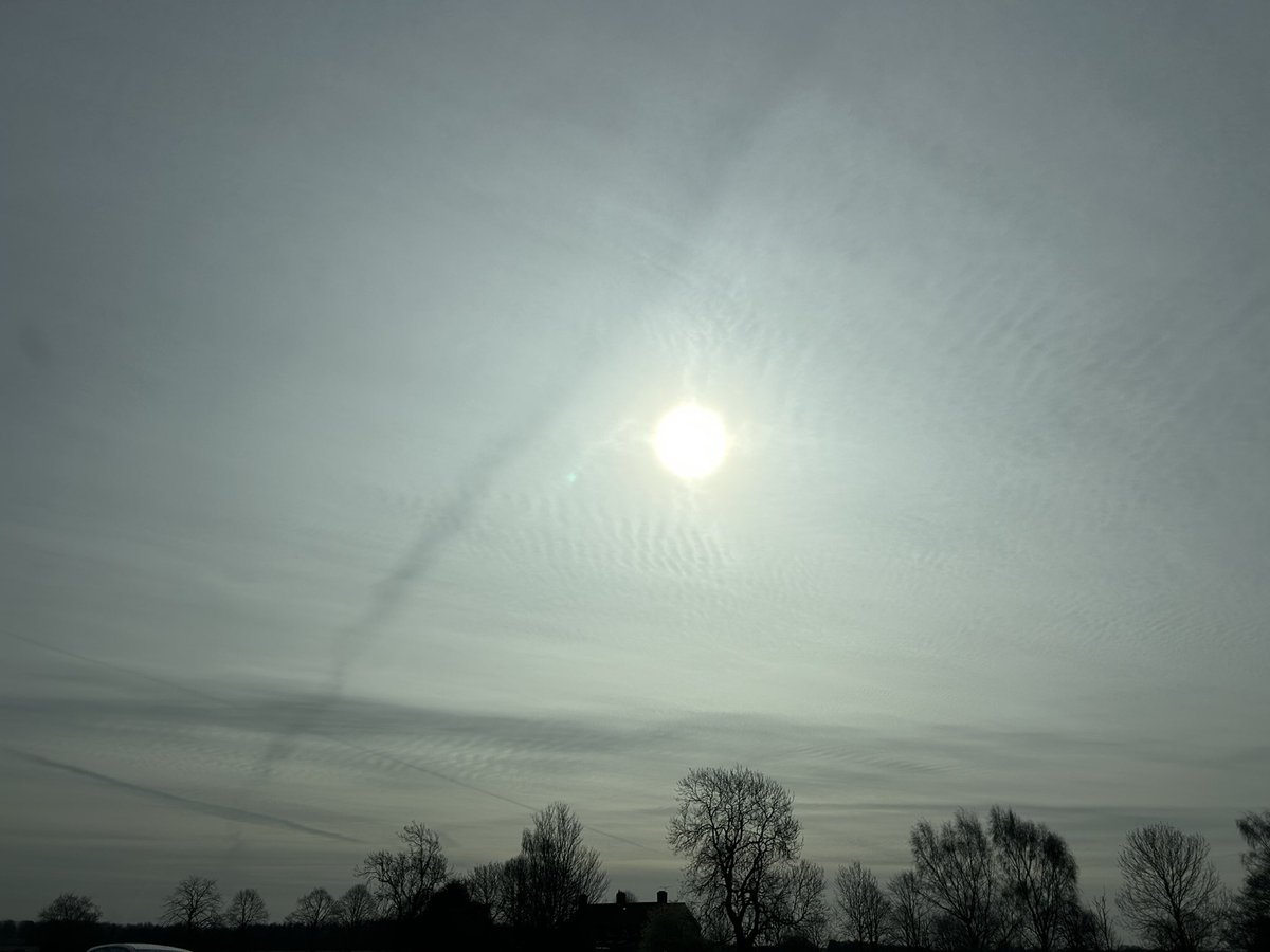 @ChatsWithEm tweet media