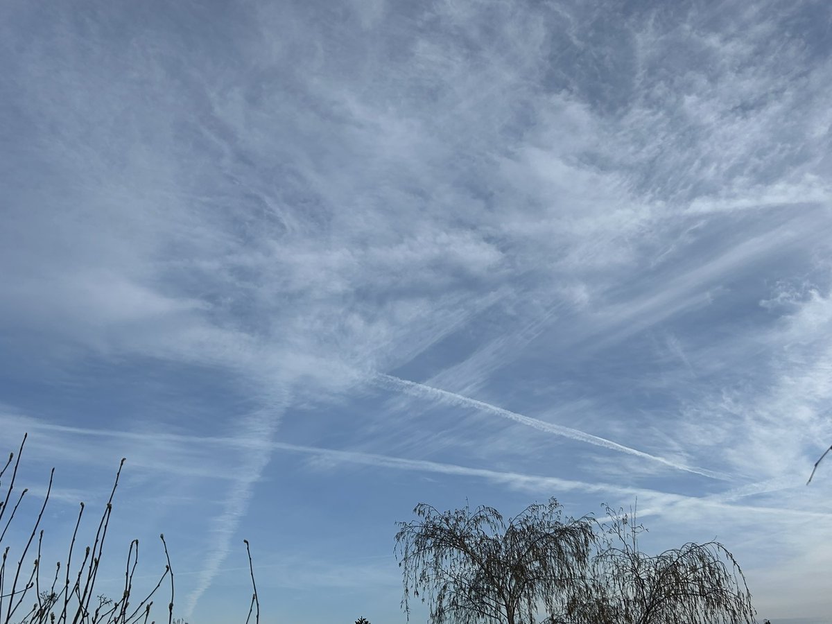 @ChatsWithEm tweet media