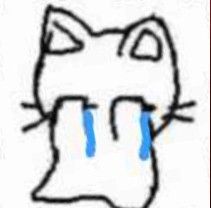 ฅ^•ﻌ•^ฅ tweet media