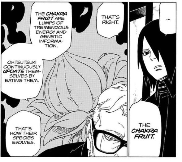 Sukunahikonacat 👁 tweet media