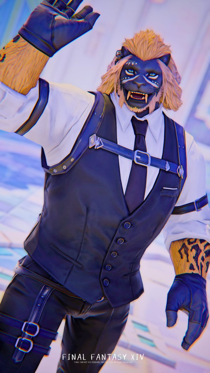 ぬこたんく tweet media