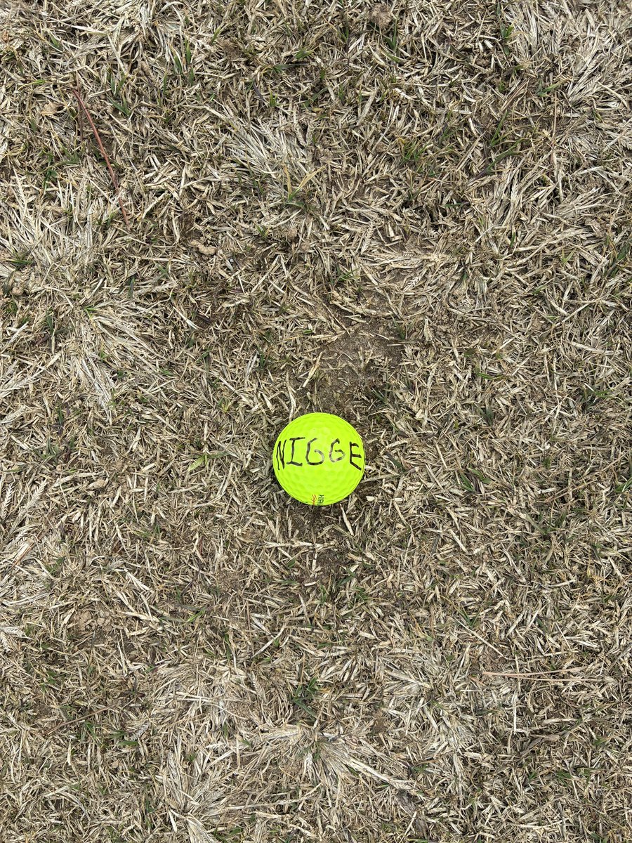 Tripp Rodgers tweet media