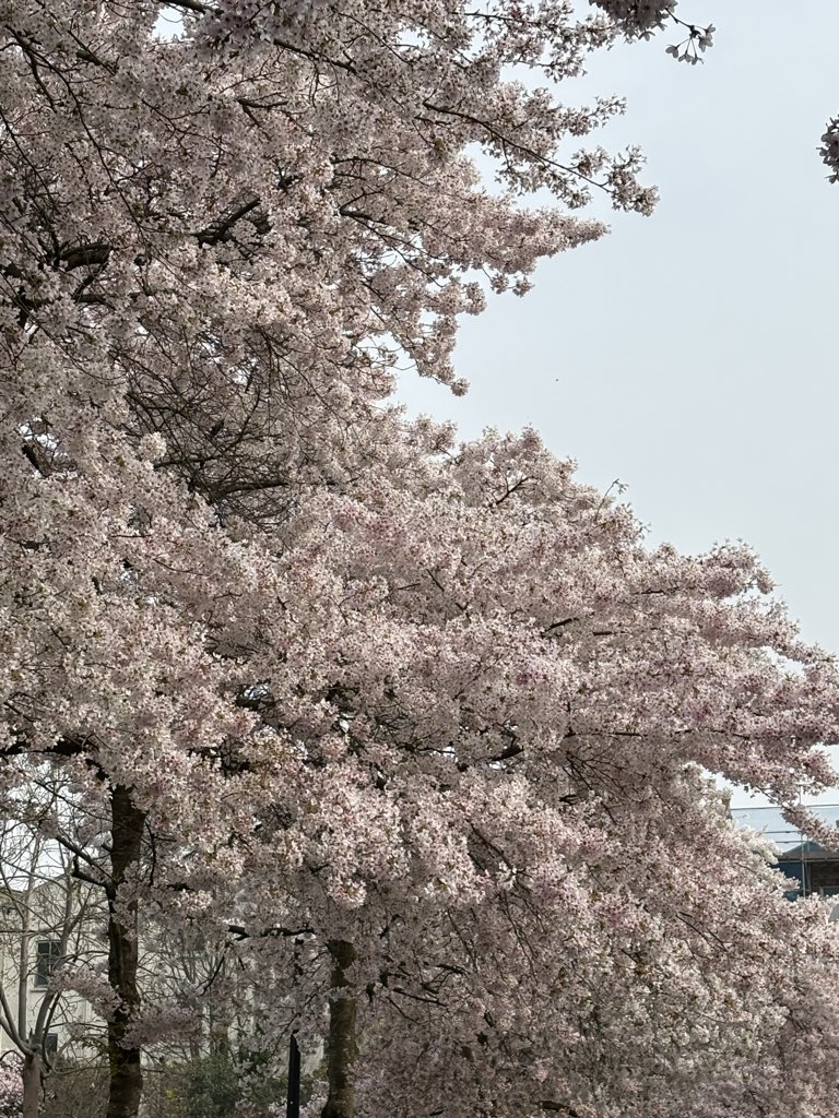 Sarah Copley tweet media