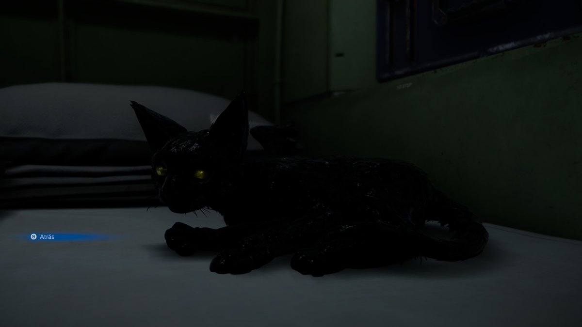 Dr. Lemurio tweet media