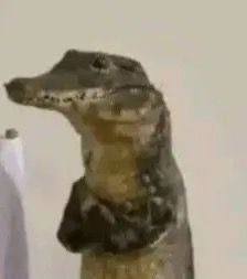 GeoPolitical Report tweet media