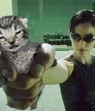 mꫂ ၴႅၴ tweet media