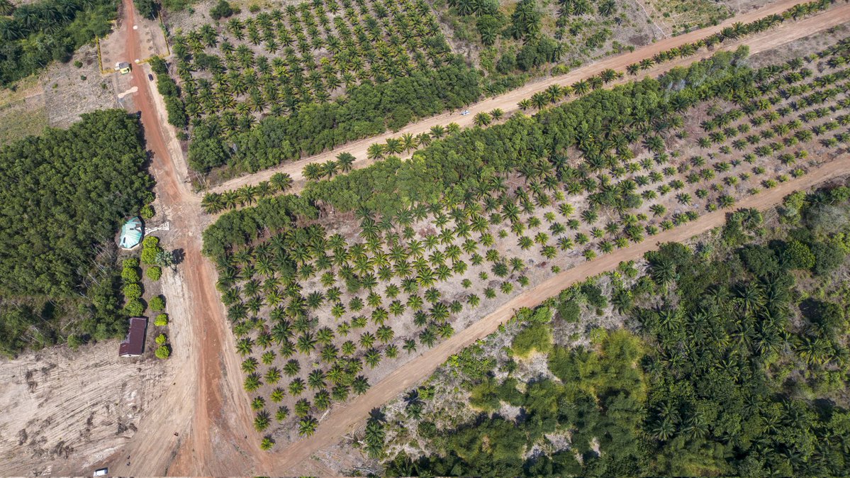 Dan Nwomeh tweet media