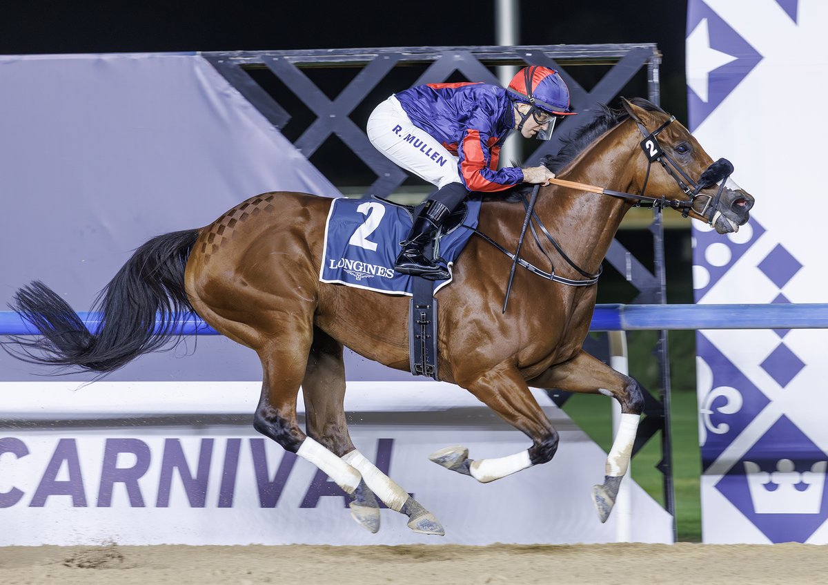 Tattersalls Online tweet media