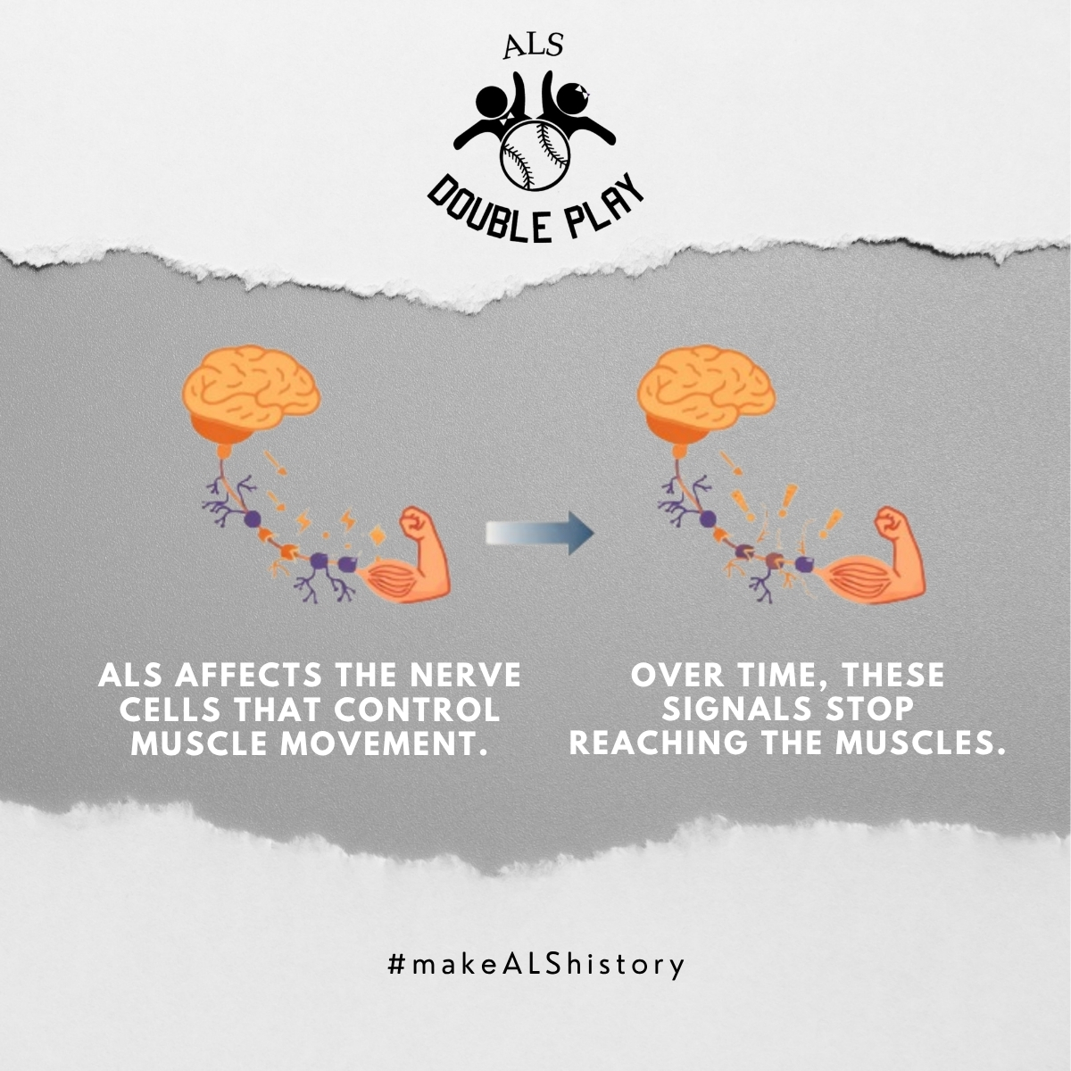ALS Double Play tweet media
