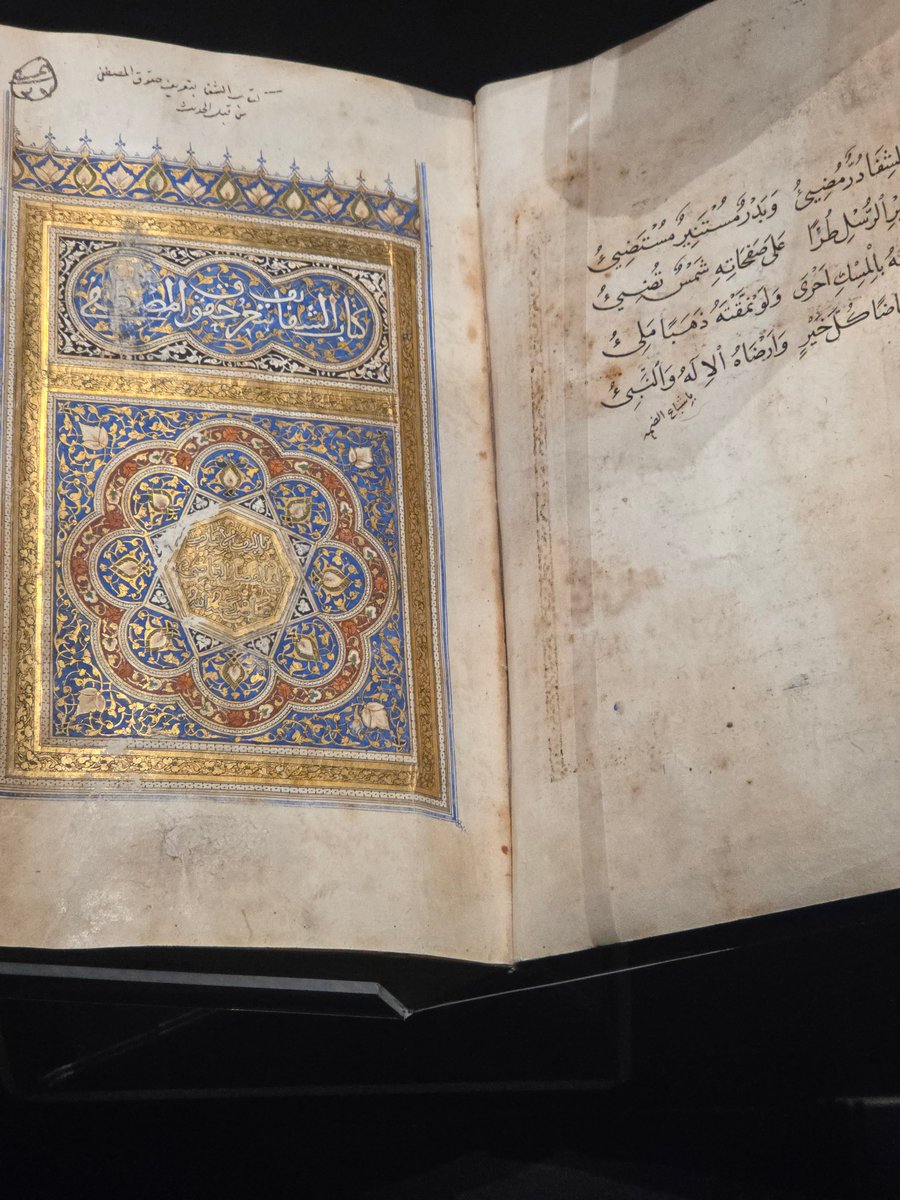 ︎ ︎ ︎ tweet media