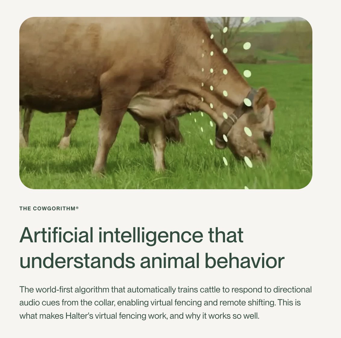 Marko Dinic tweet media