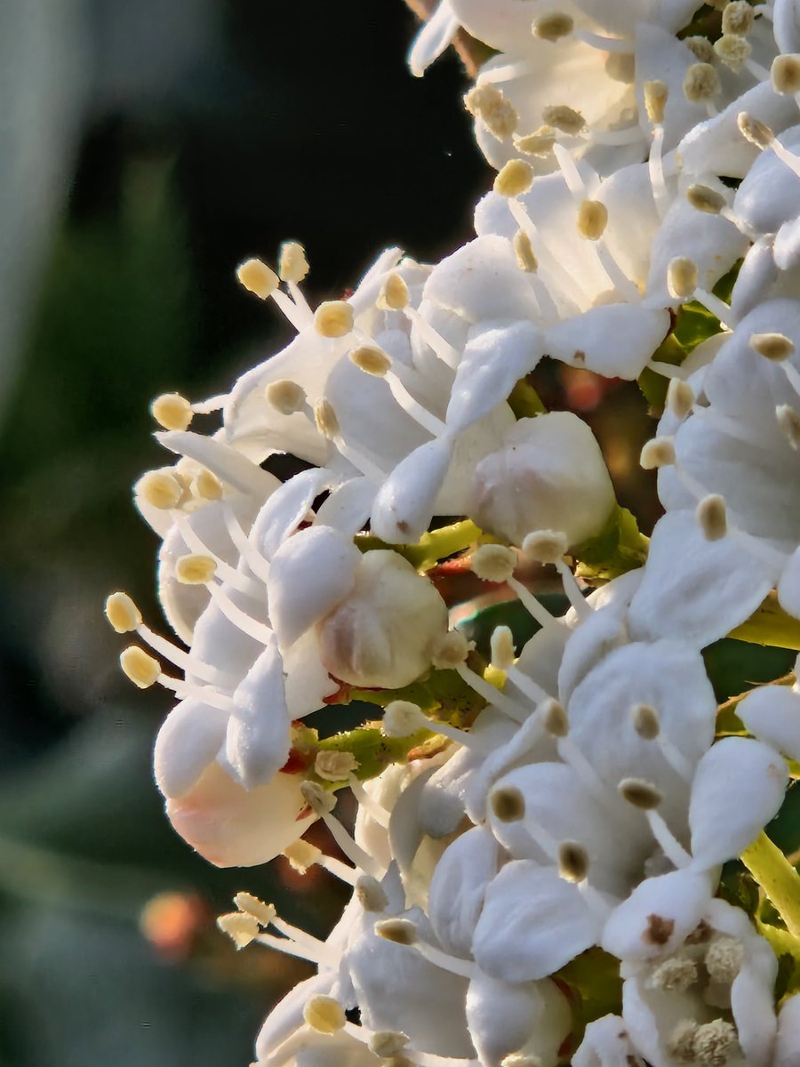 La Tête sous l'eau tweet media
