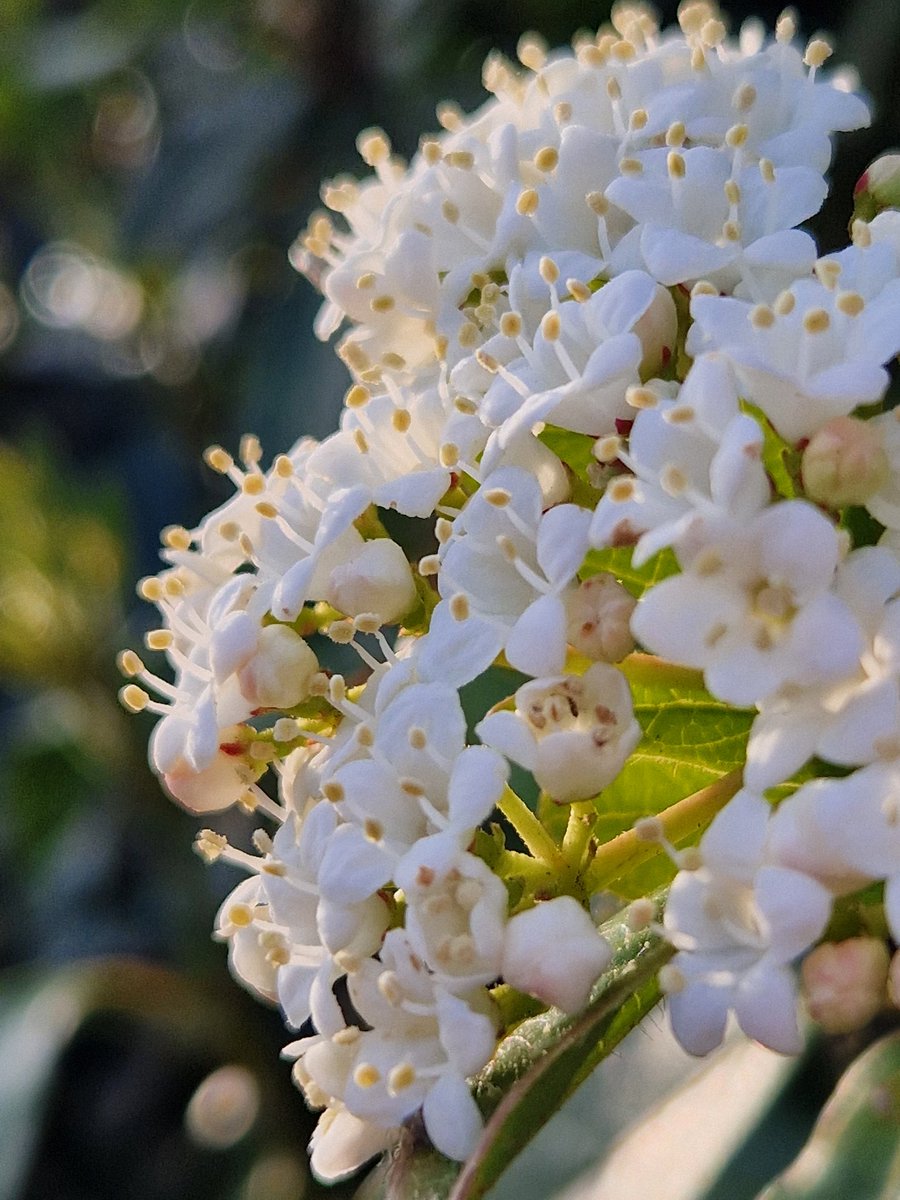 La Tête sous l'eau tweet media