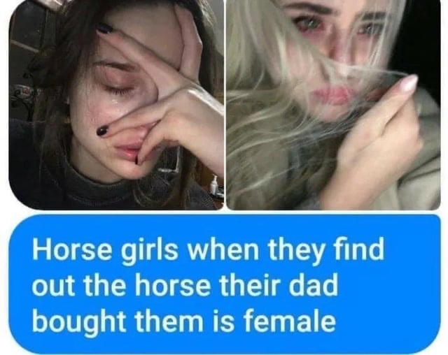 RealestMemes tweet media