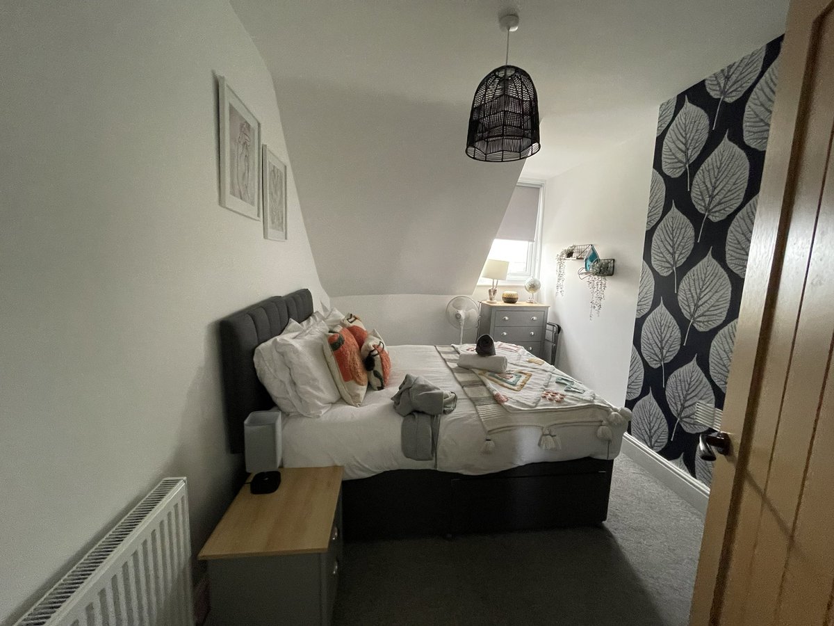 𝙎𝙝𝙚𝙚𝙥𝙞𝙤 🕊️ tweet media