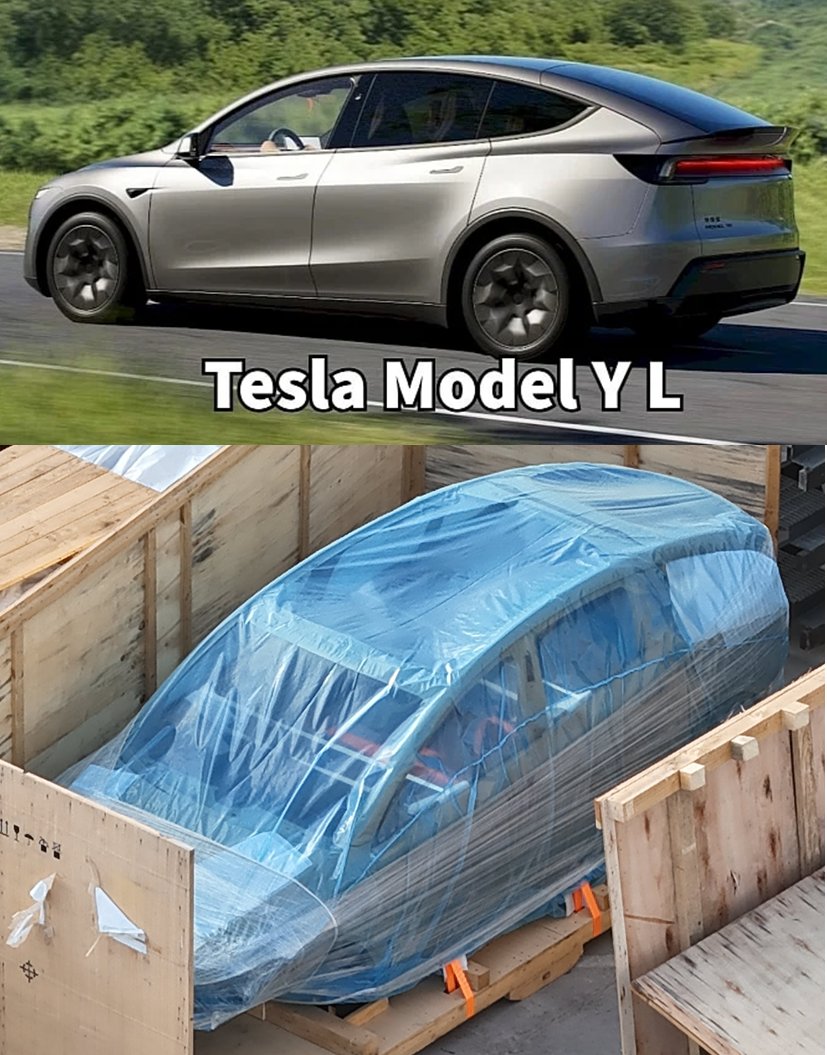 Tony C (THE ACCOUNTANT) tweet media