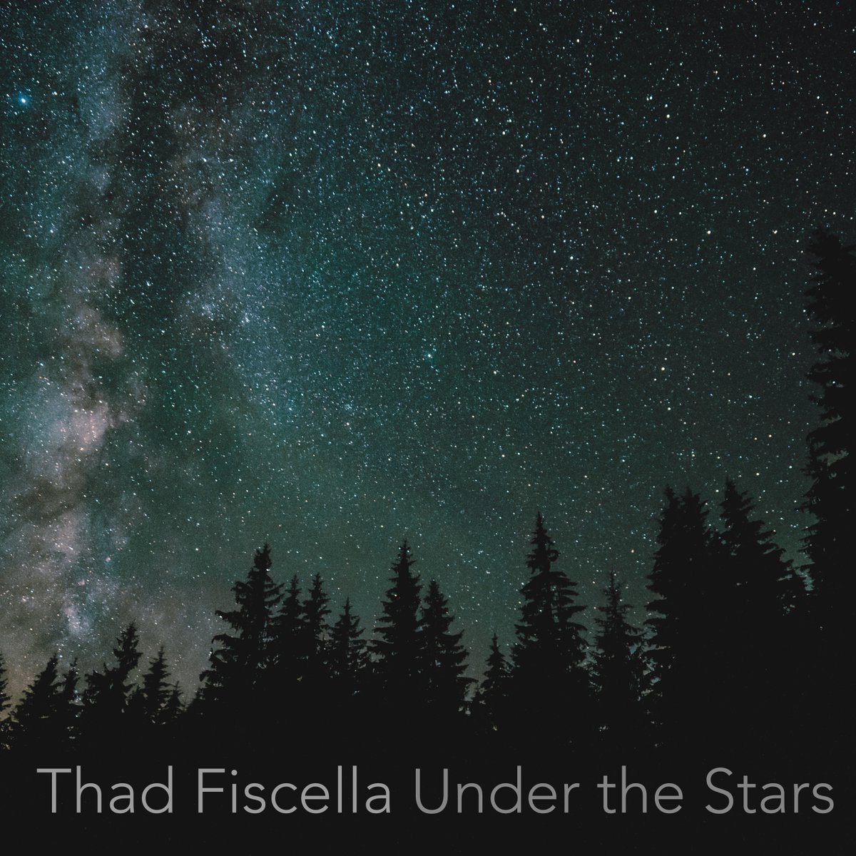 thadfiscella tweet media