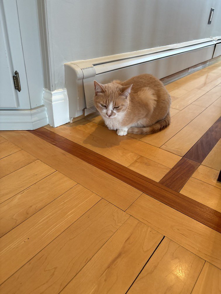 Ann Koplow tweet media