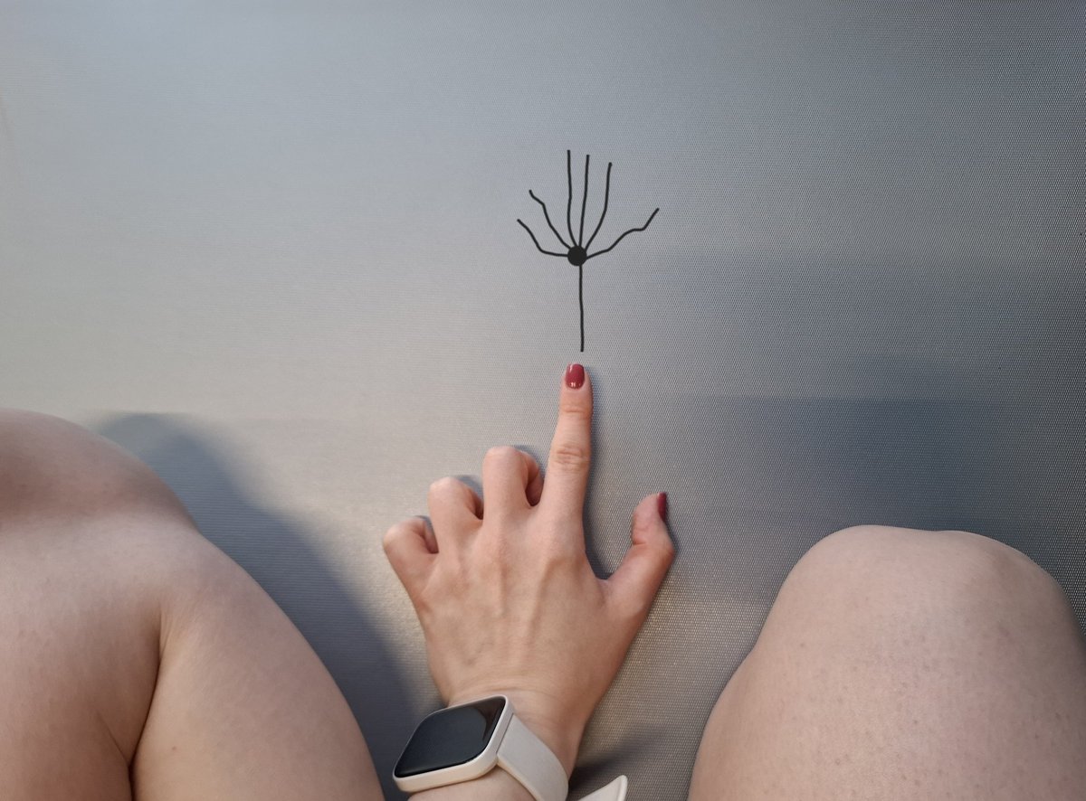 mgr ZwiązekFrazeologiczny tweet media