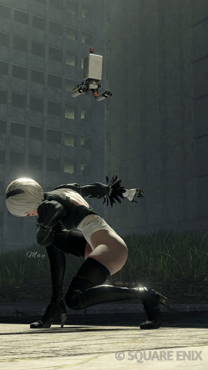 May🐦🔥メイ tweet media