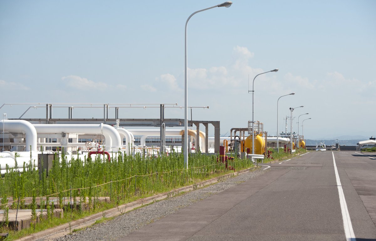 大山顕 tweet media