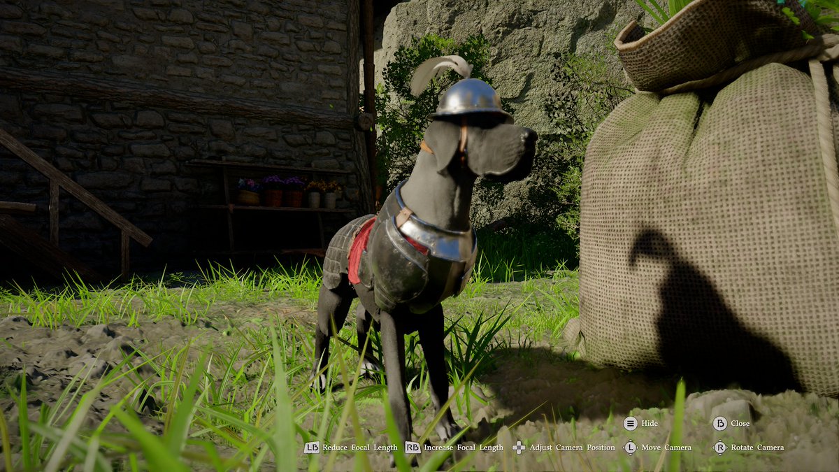 Matty Edwards tweet media