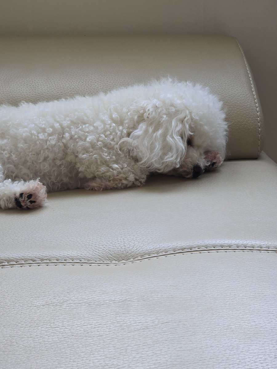 코우kou tweet media