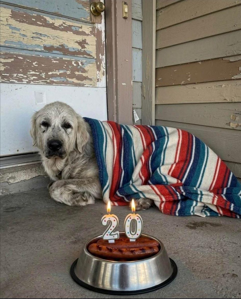 Miss Velora tweet media