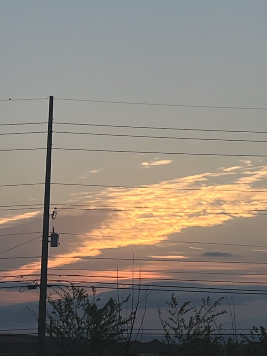 Joel Carwile tweet media