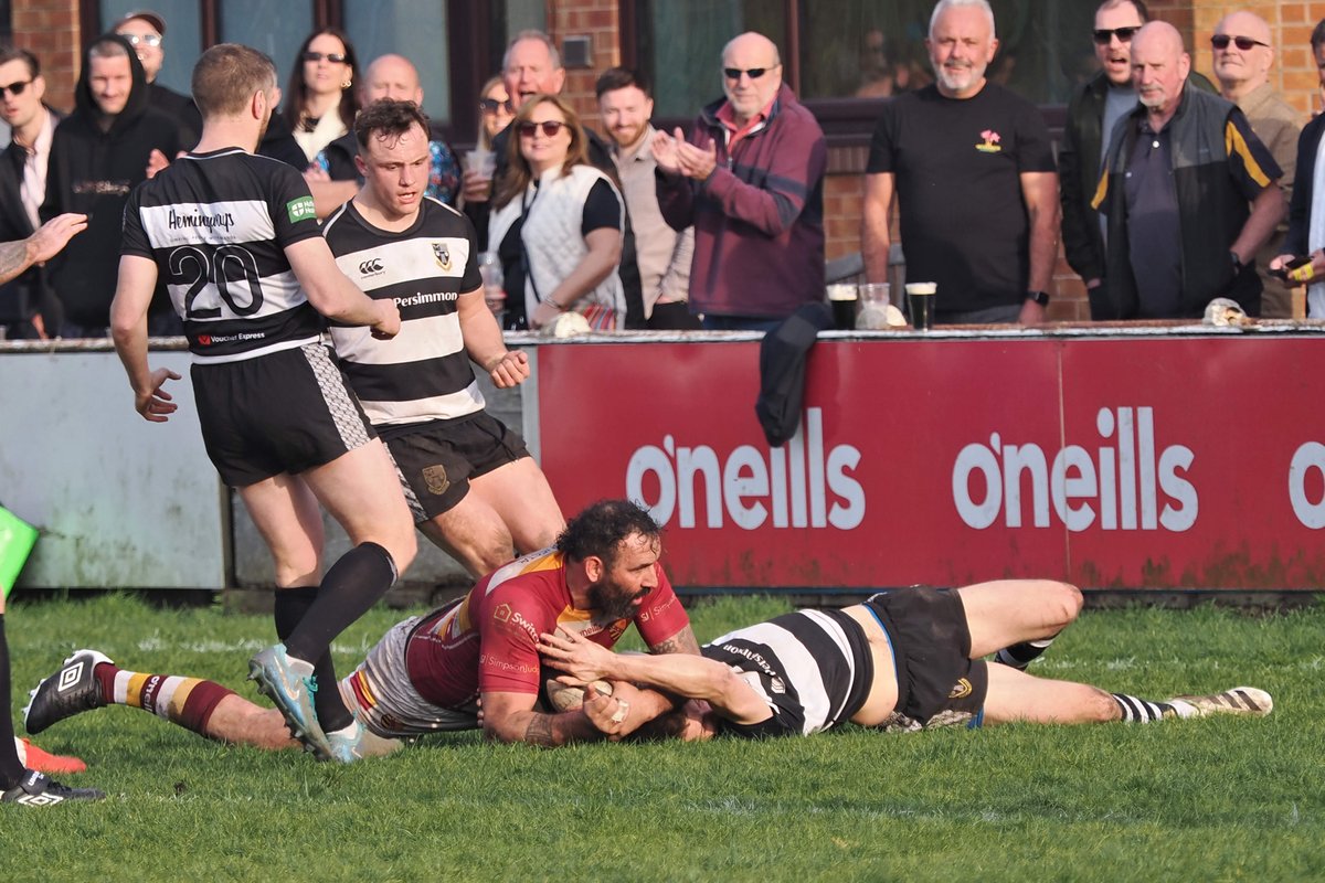 Fylde Rugby tweet media