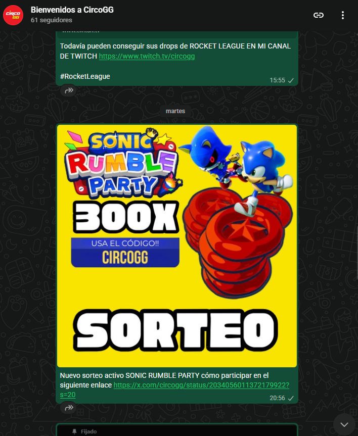 Circo GG tweet media