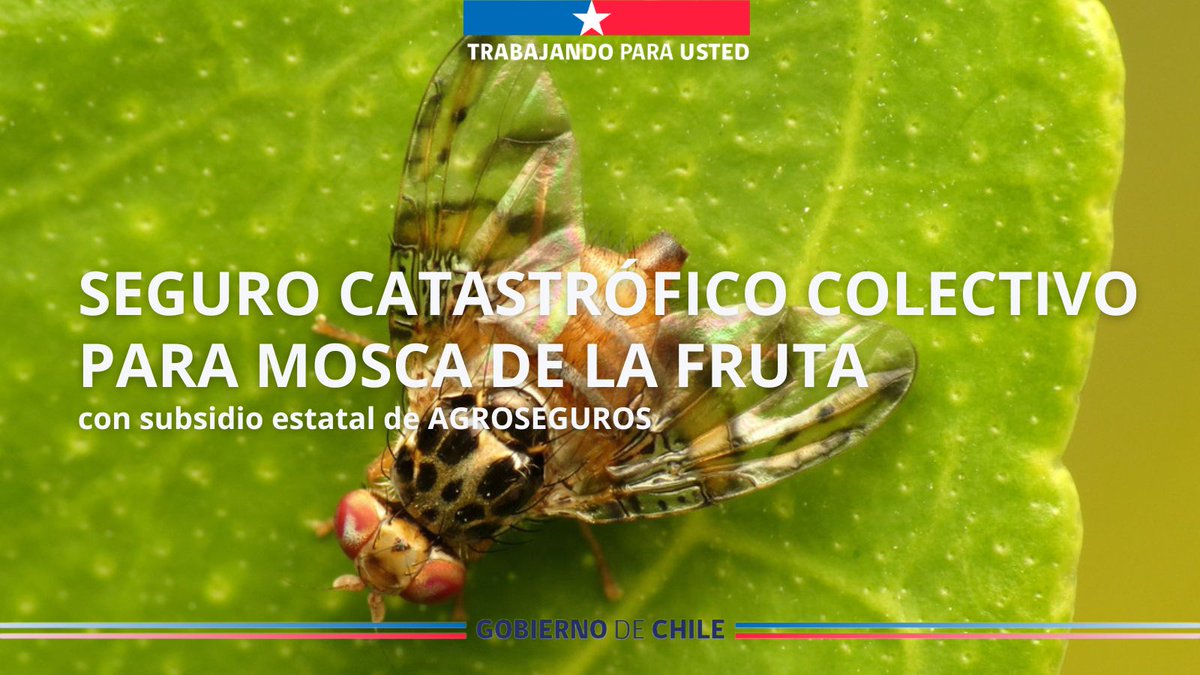 Agroseguros Chile tweet media