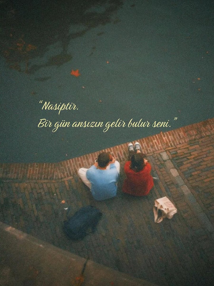 SELİN🌟 tweet media