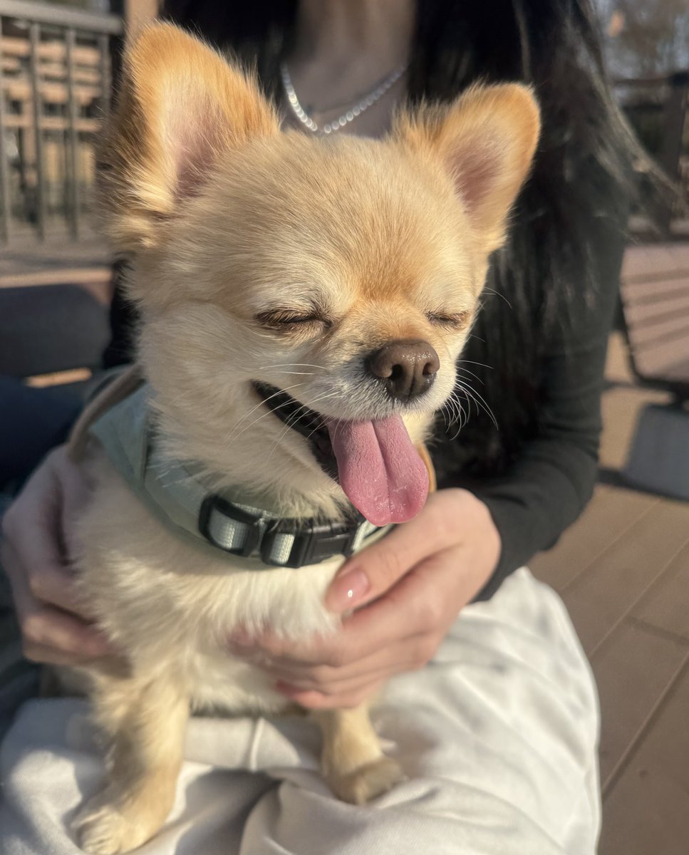 てん（６） tweet media