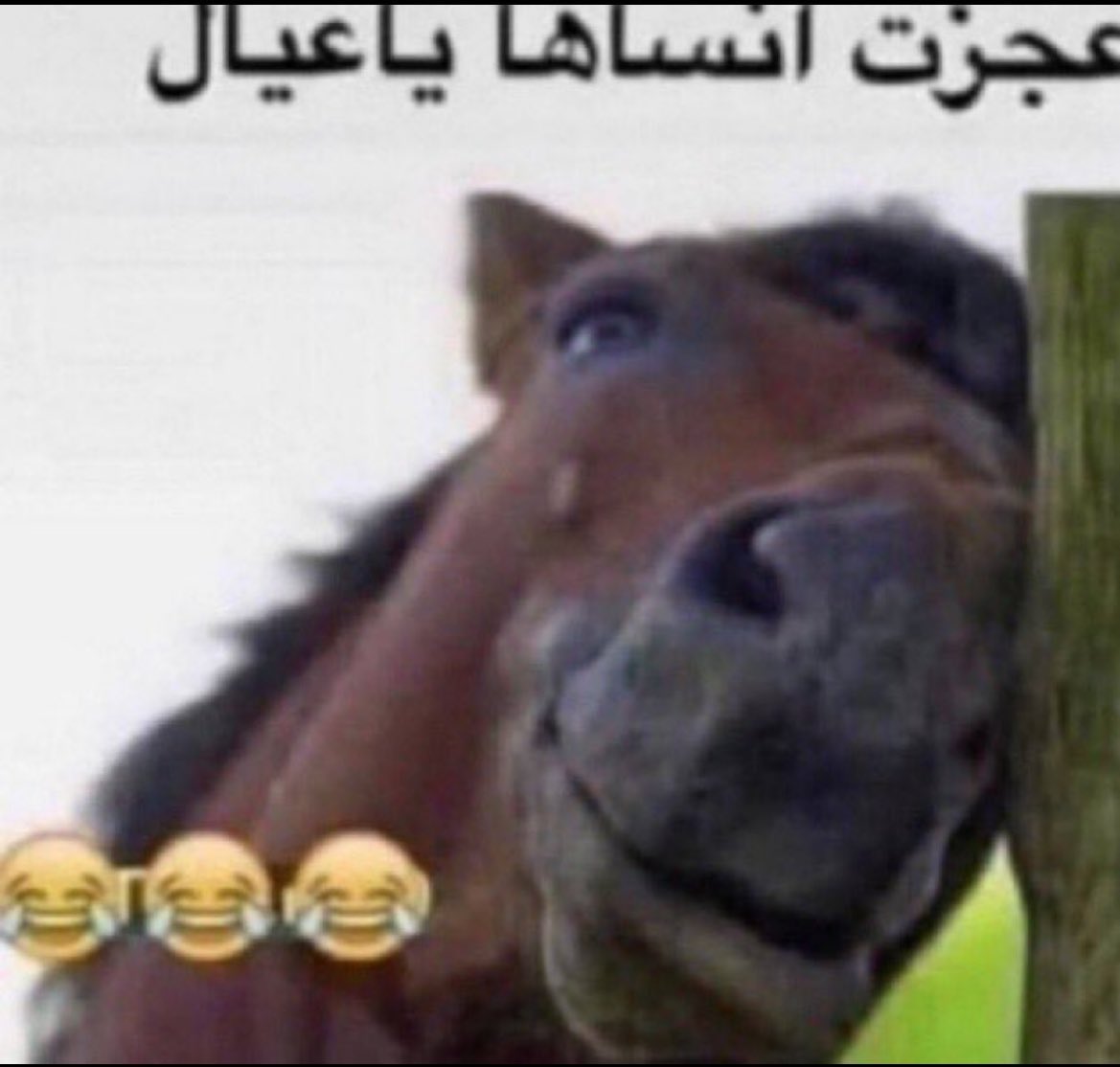 𝑳 𝑨 𝑺 𒉭 tweet media