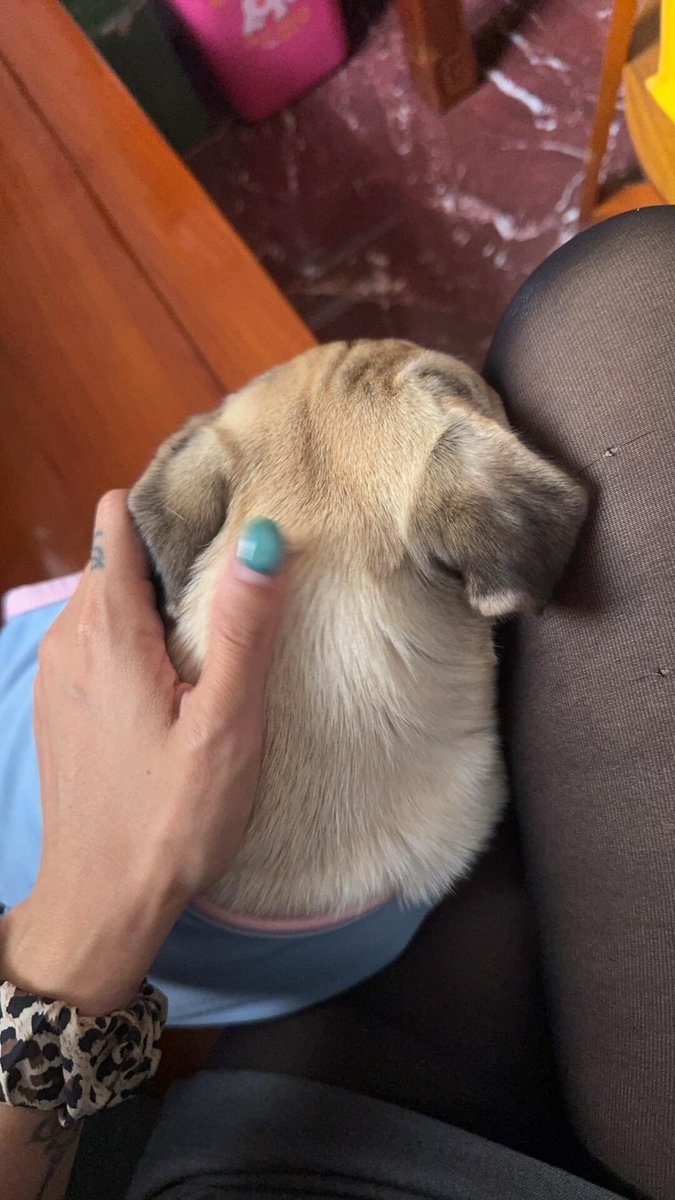 川渝有稿投 tweet media