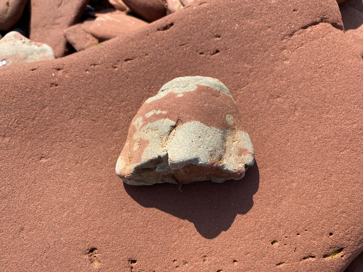 Always Anon PEI tweet media