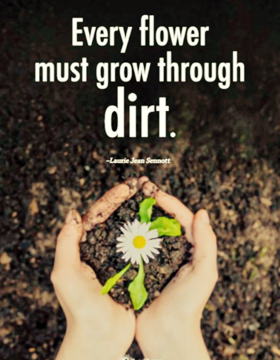 $Shib ₿ender 🌬️💨🌪️📈🛸✨ tweet media