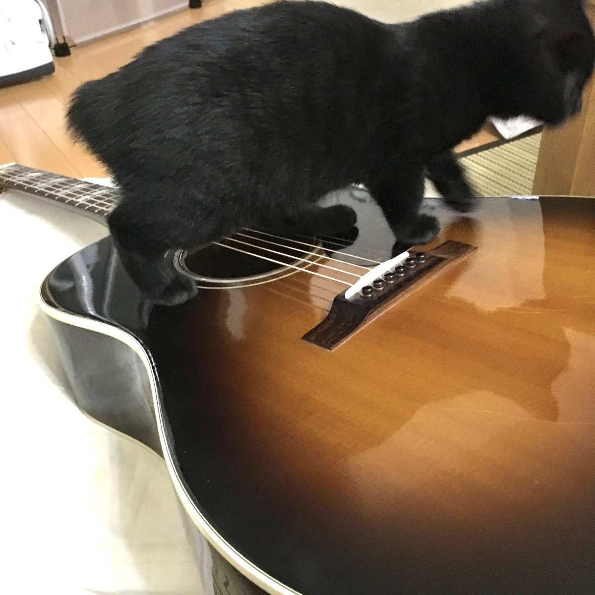 𝕤𝕒𝕥𝕠𝕤𝕙𝕚⭐︎𝕟𝕕𝕖𝕞𝕒𝕫 tweet media