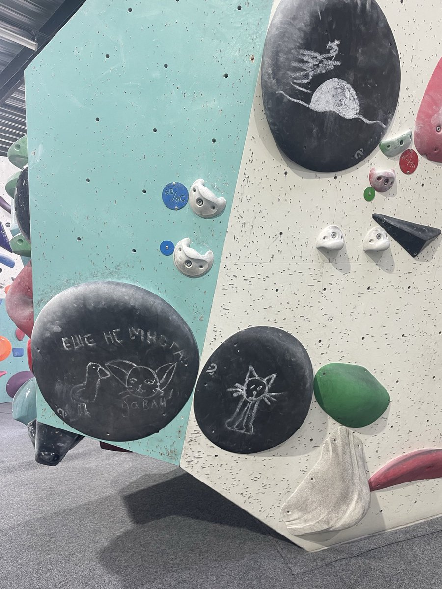 Церемониальный ослик tweet media