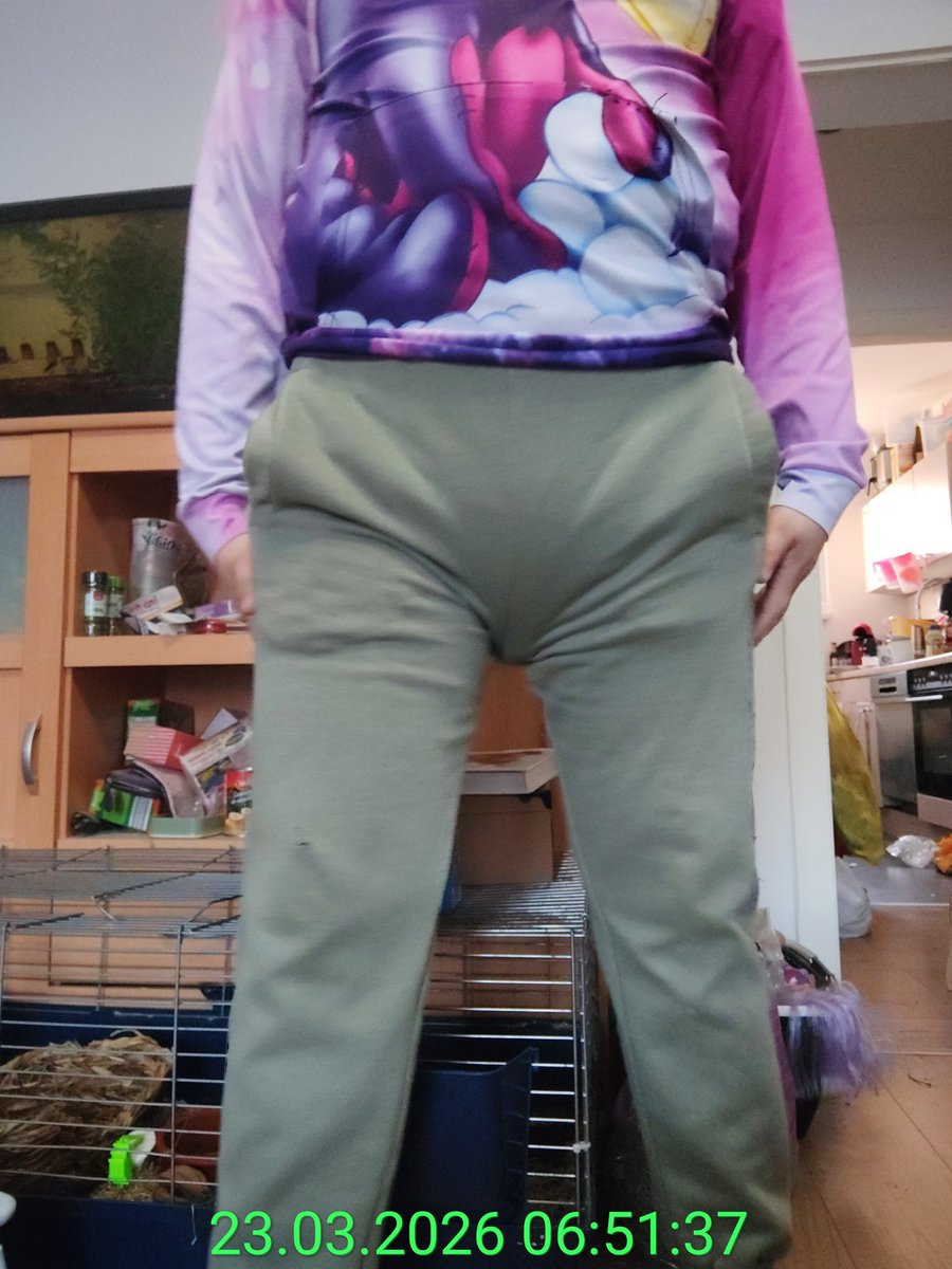 Baby Toto tweet media