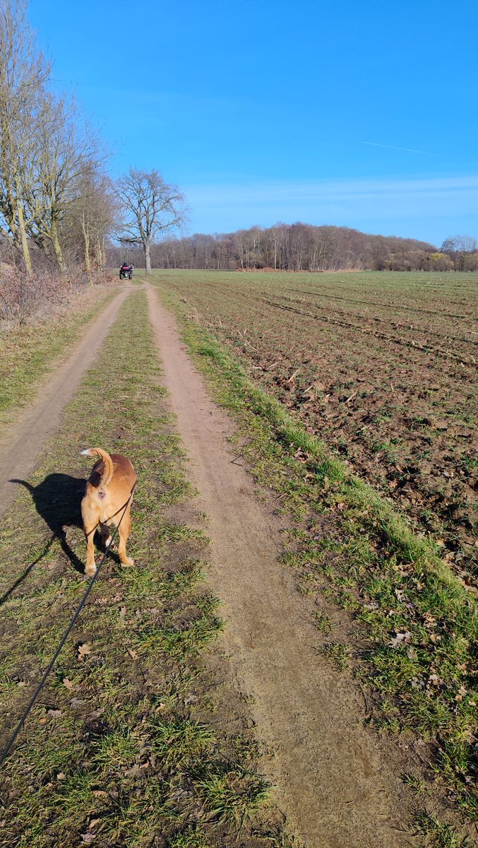 ✹Non✹Aesthetic✹ tweet media