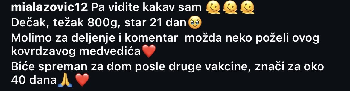 Ovaj mali garavi će posle druge vakcine biti spreman za topli dom, hajde zajedno da mu nađemo nekoga ko će ga voleti i sve to pružiti ❤️🙏🍀 
Ko želi neka se javi devojci na Ig mialazovic12 🥰