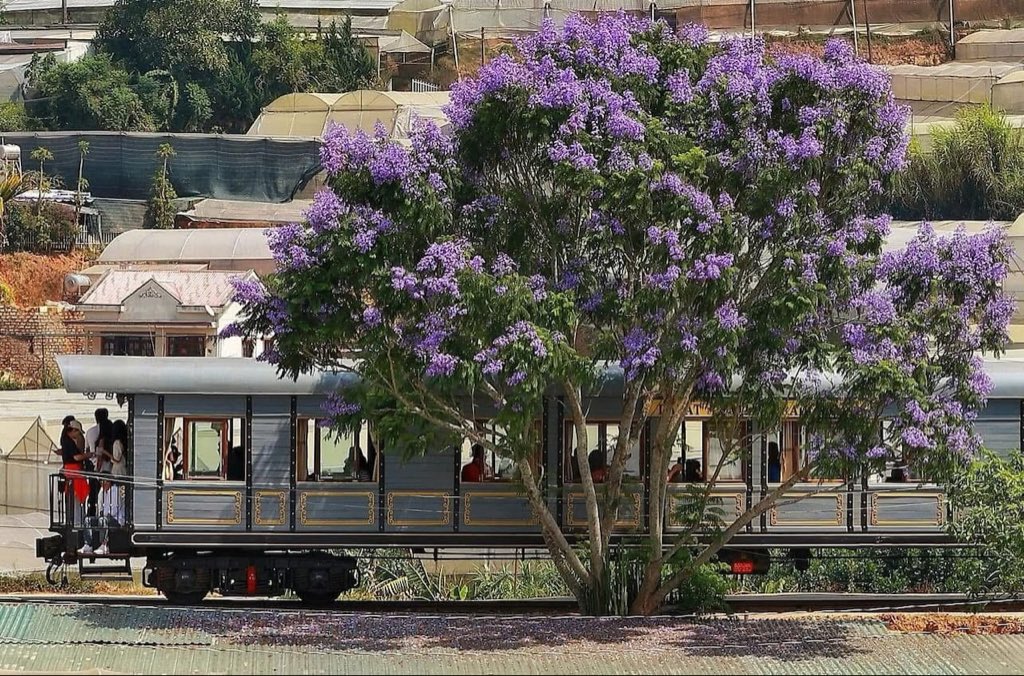 baolau's tweet photo. The Da Lat–Thap Cham railway was built by the French administration in 1932 and dismantled after the Vietnam War in 1975. It linked Da Lat in the Central Highlands and Phan Rang in the Central Coast. In the present, trains run in the restored section between Da Lat and Trai Mat. https://t.co/OA4xQQsqts