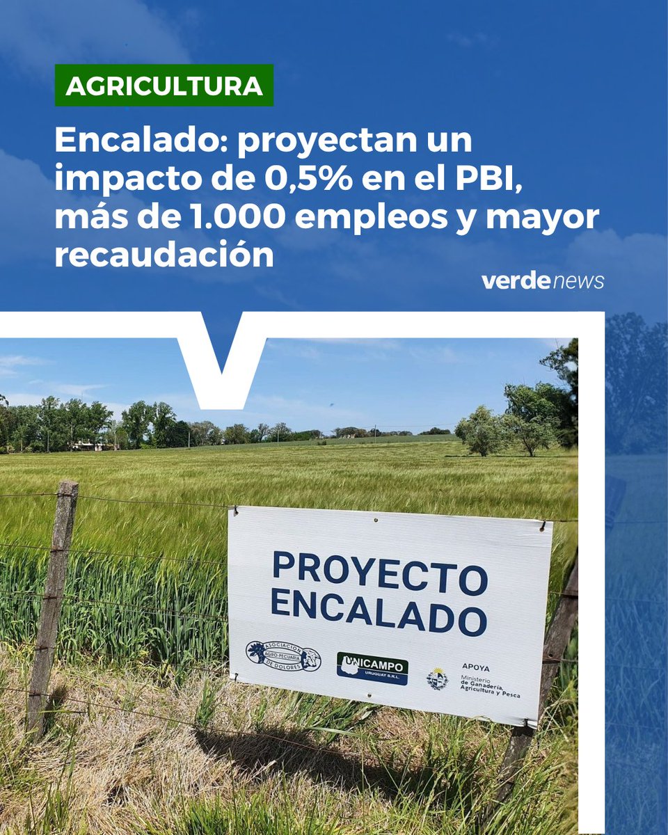 verdemediauy's tweet photo. El encalado de suelos aparece como una de las herramientas con mayor potencial para “mejorar” la productividad agrícola y, al mismo tiempo, generar un impacto “relevante” en la economía uruguaya. Así lo señaló el economista e integrante de @CERES_UY, Martín Alesina, en el marco de @Expoactiva, durante una presentación del proyecto impulsado por la Asociación Agropecuaria de Dolores (@aad_dolores), en el programa @PDE_Oriental770 en @Oriental770 y https://t.co/0naKQREAYs. [...]

👉 Leé y escuchá la nota completa
https://t.co/yUL5uG72u7