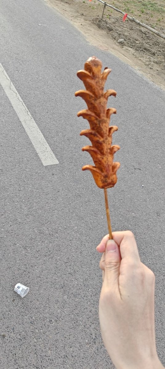 幽夜黑猫OnyxCat🍥🏳️‍⚧️ tweet media