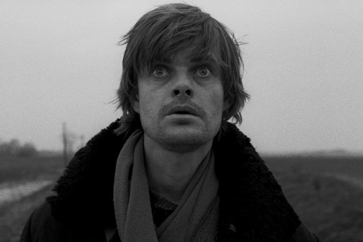 Close-Up Cinema tweet media