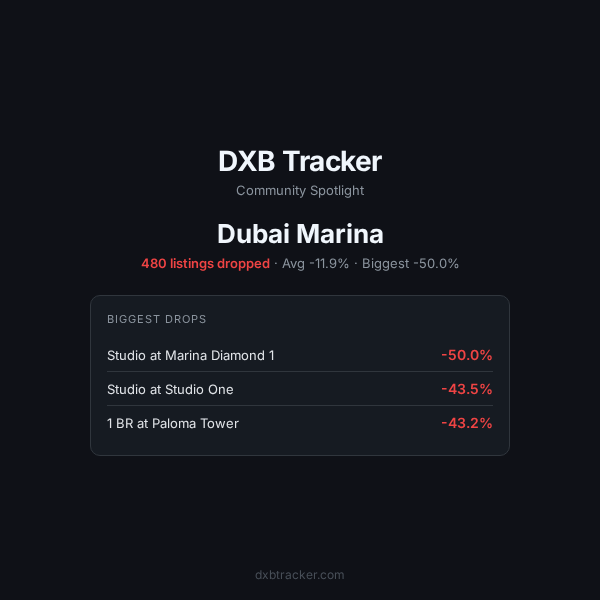 dxbtracker tweet media