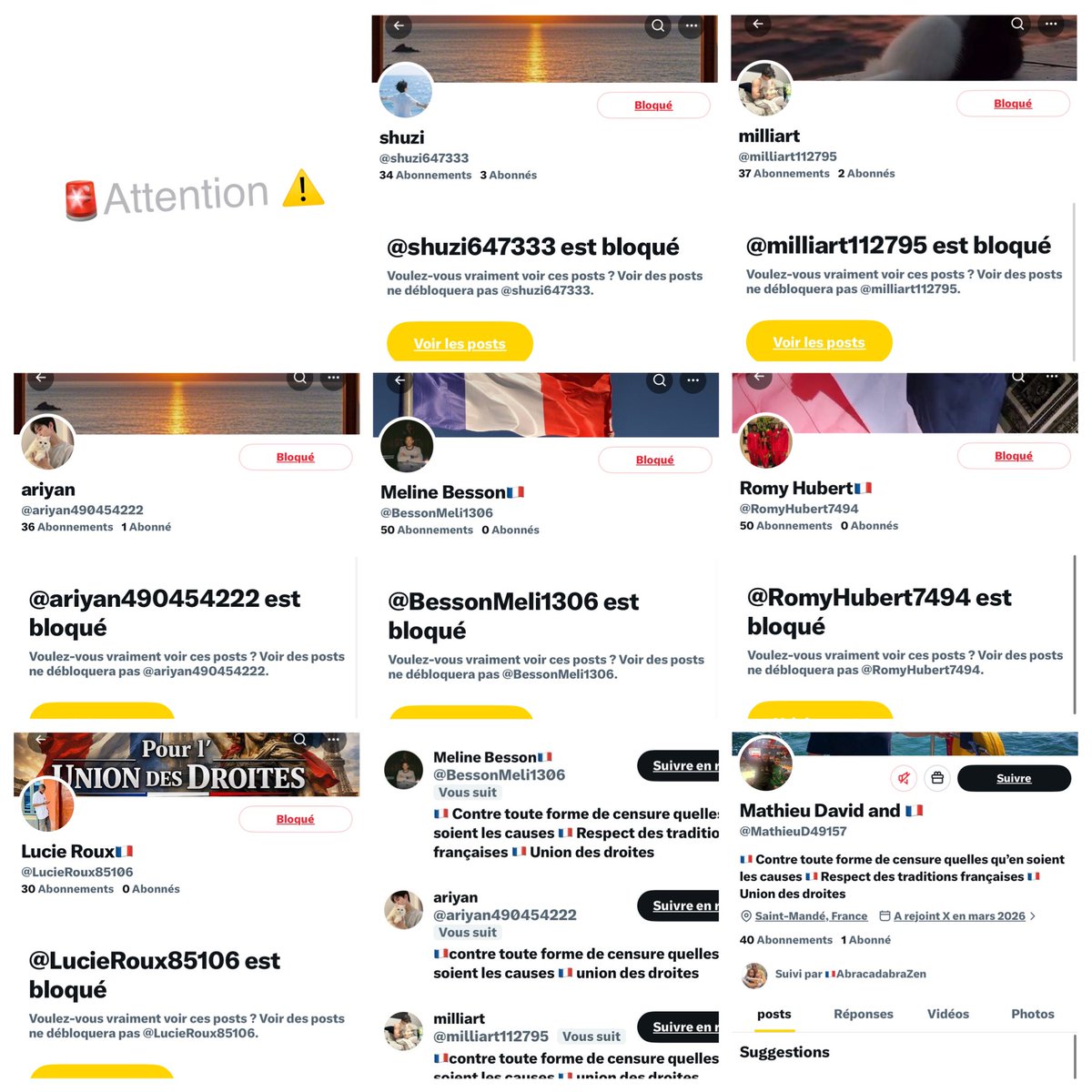 ✞✟† 🅰️d Vitam 🐓🪢 tweet media